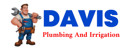 Trusted plumber in DES ARC